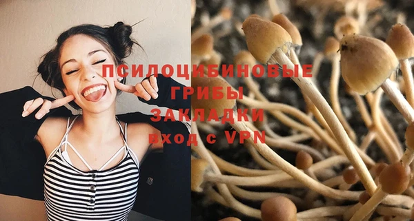 дживик Краснотурьинск