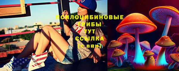 первитин Краснослободск