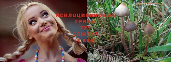 дурь Красноперекопск